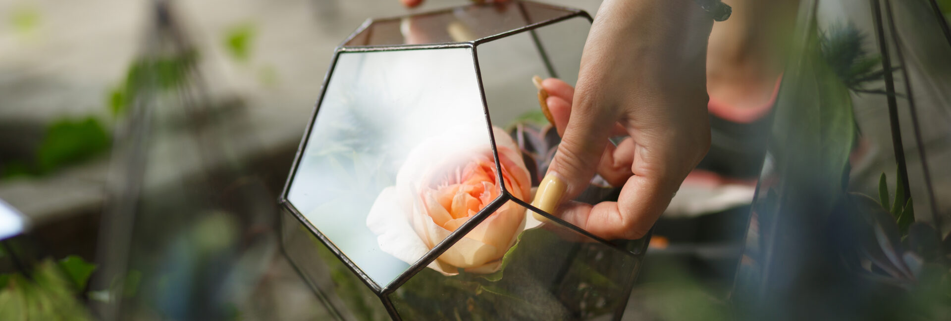 Florarium mit frischen saftigen Blumen. Eventdekoration mit frischen Blumen. Floristen-Workflow. Hochzeitsbankett-Design.