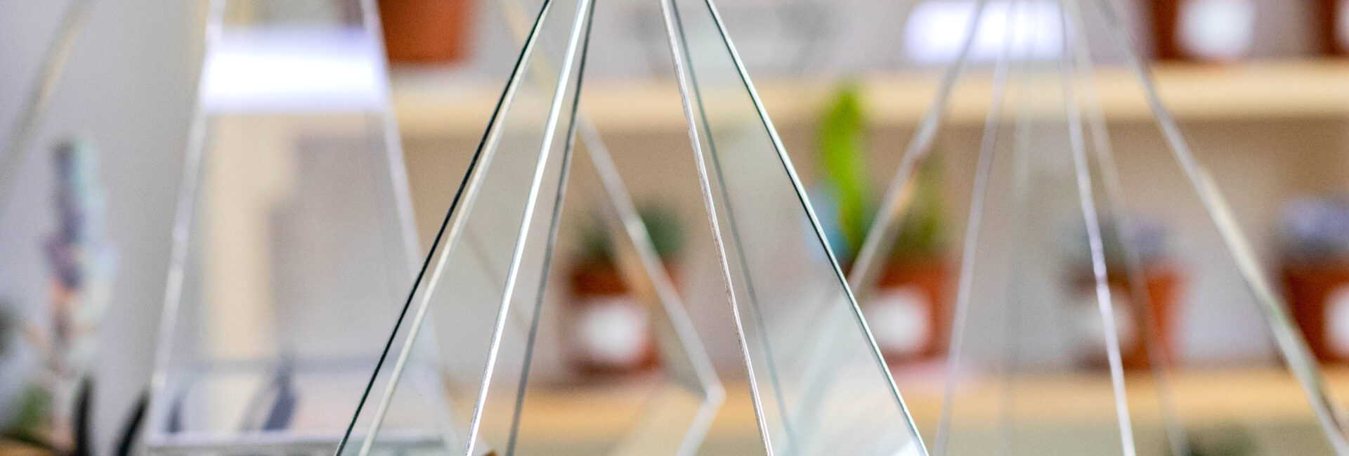 Moderne Kunstdekor-Innenkomposition Sukkulenten im Glasflorarium auf Holztisch in der Atelierwerkstatt. Wunderschönes kreatives handgemachtes Blumenarrangement mit floristischem tropischem Grün im Terrarium
