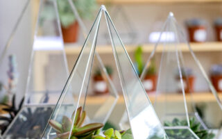 Moderne Kunstdekor-Innenkomposition Sukkulenten im Glasflorarium auf Holztisch in der Atelierwerkstatt. Wunderschönes kreatives handgemachtes Blumenarrangement mit floristischem tropischem Grün im Terrarium