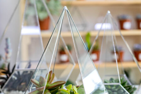 Moderne Kunstdekor-Innenkomposition Sukkulenten im Glasflorarium auf Holztisch in der Atelierwerkstatt. Wunderschönes kreatives handgemachtes Blumenarrangement mit floristischem tropischem Grün im Terrarium